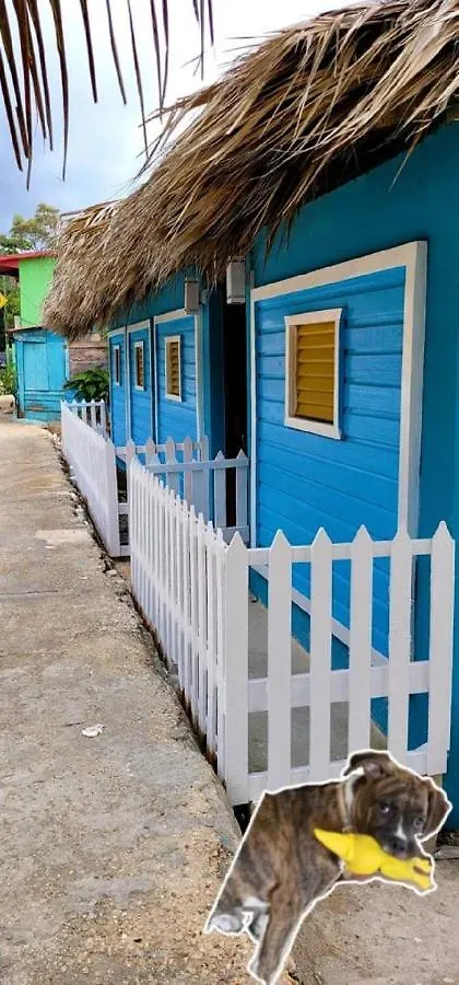 La Casita De Mary contacts